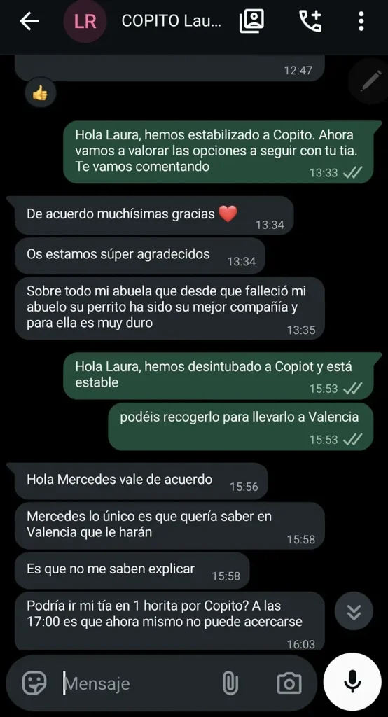 testimonios-sanasana-01