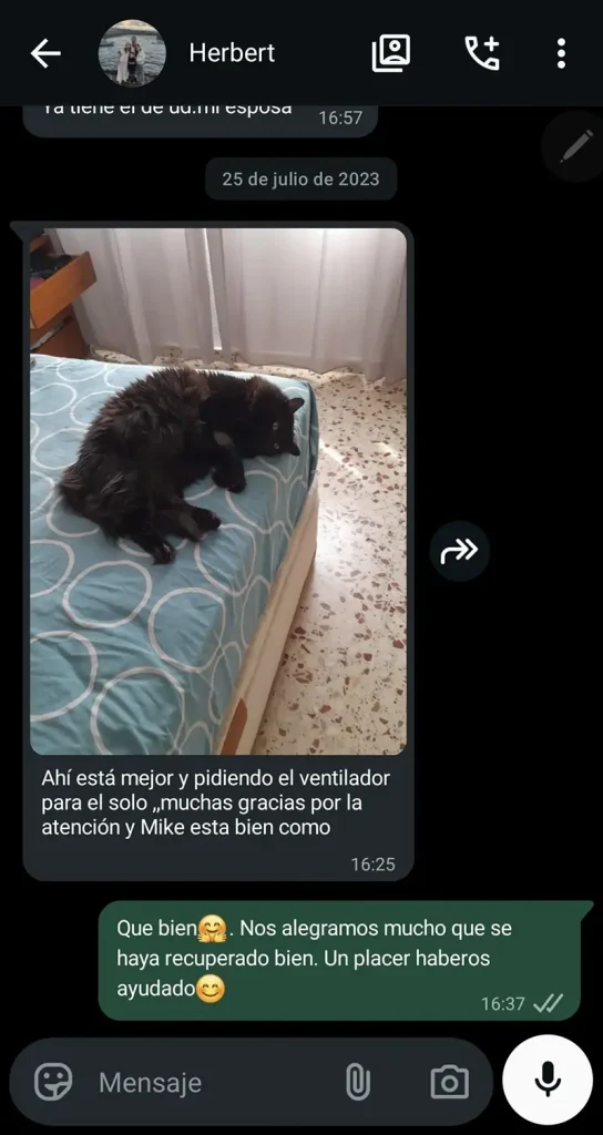 testimonios-sanasana-04