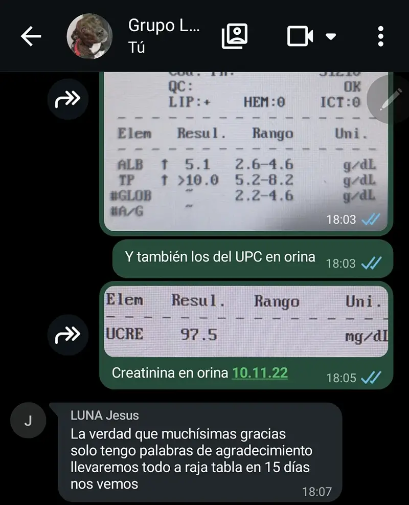 testimonios-sanasana-05